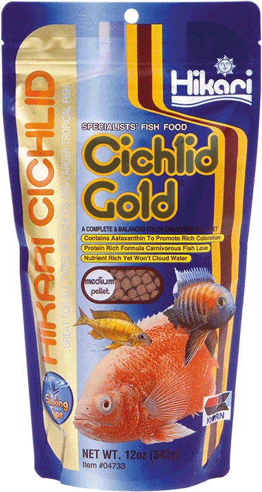 Hikari cichlid gold zinkend