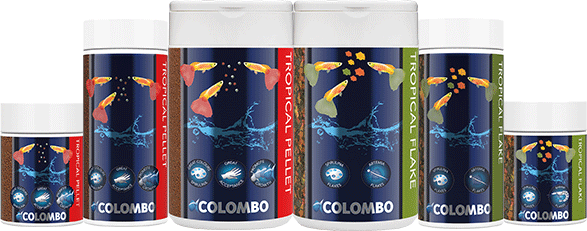 COLOMBO TROPICAL VOER