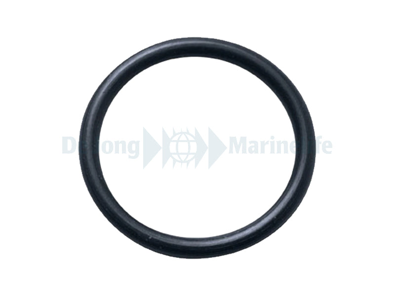 O-Ring For Lid 100