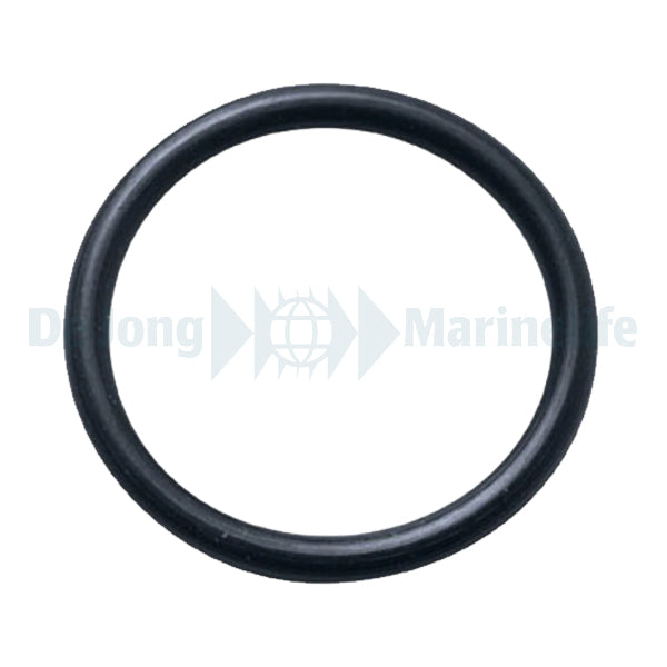 O-Ring For Lid 100