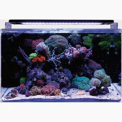 Reef 160